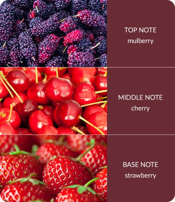 simply-mulberry-600x693-1.jpg