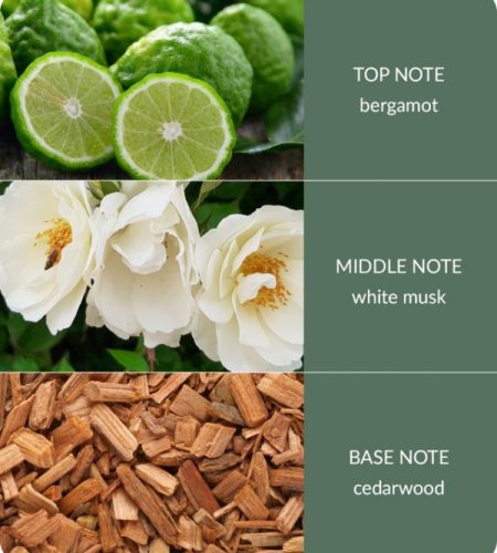 Cedarwood-White-Musk-600x693-1-3.jpg