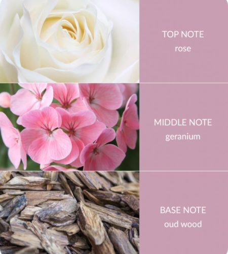 Oud-wood-Geranium-600x693-1-1.jpg