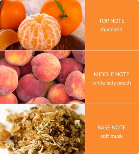 Peach-Passion-Notes-square-Small.jpg