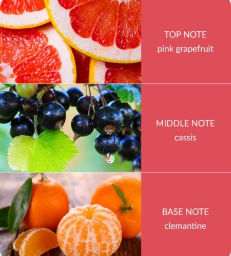 pink-grapefruit-600x693-1-2.jpg